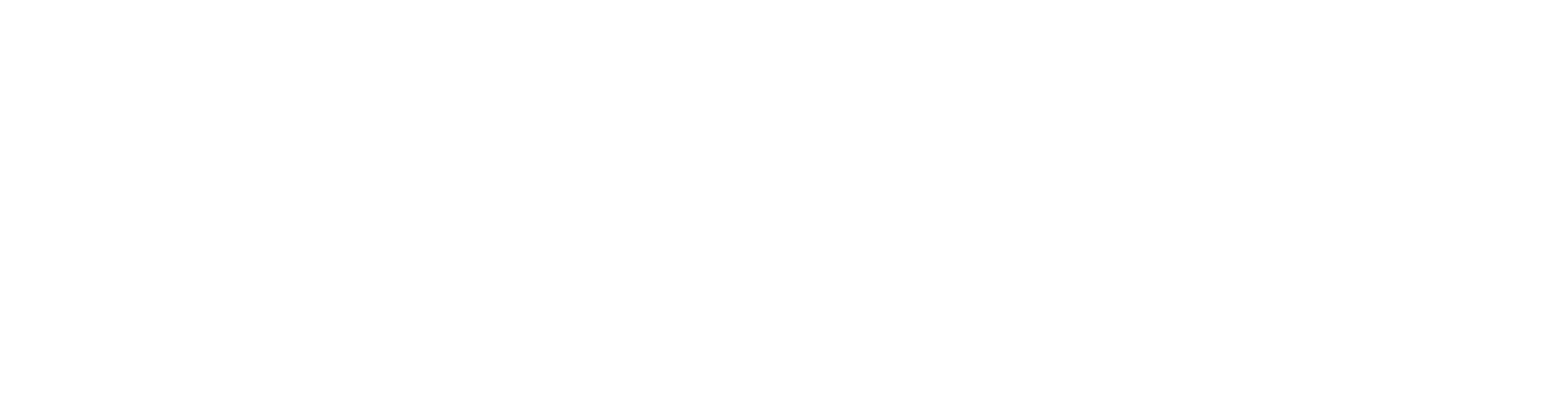 NZST-LOGO-white
